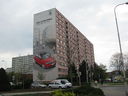 IMG_8386.JPG