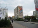 IMG_8388.JPG
