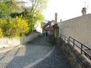 IMG_9525.JPG