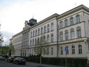 IMG_9557.JPG