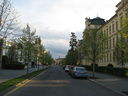 IMG_9565.JPG