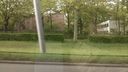 IMG_20150509_191351.jpg