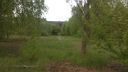IMG_20150509_194923.jpg
